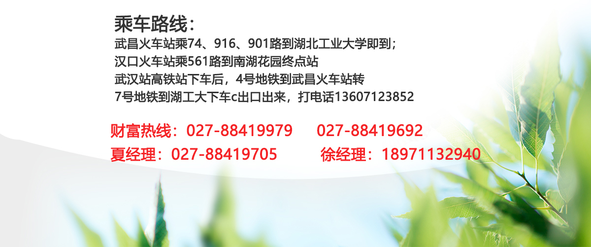 公司官網