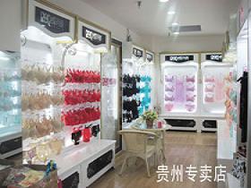 蝶詩倩品牌內衣連鎖店