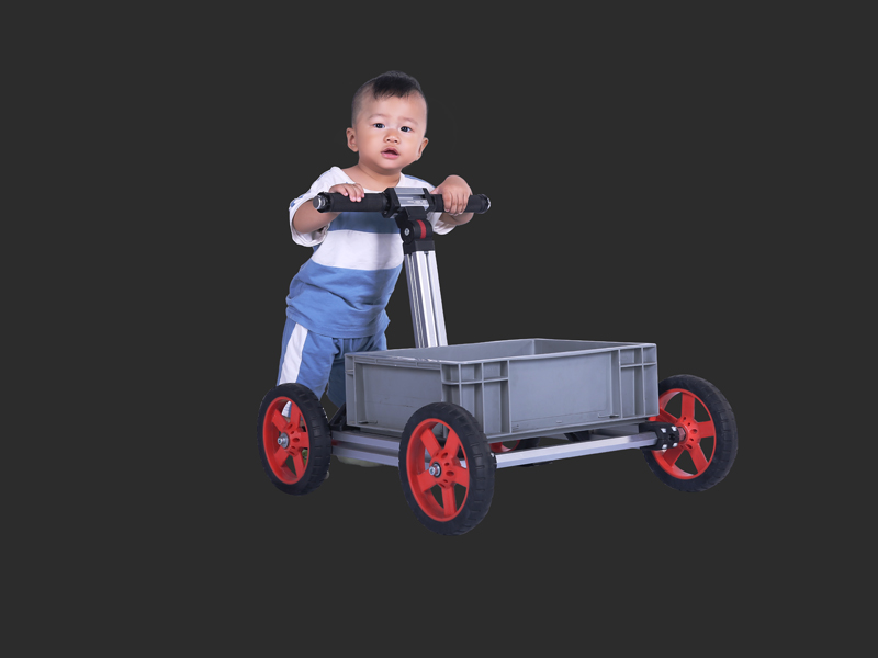 任性寶貝百變童車