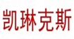 凱文克萊服飾貿易