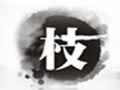 枝女裝